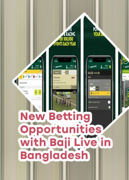 Best paid betting tips app bangladesh